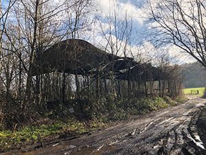 Bramley-derelict-barn
