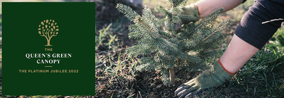 The Queen’s Canopy logo header with tree planting