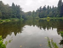 view-across-lake